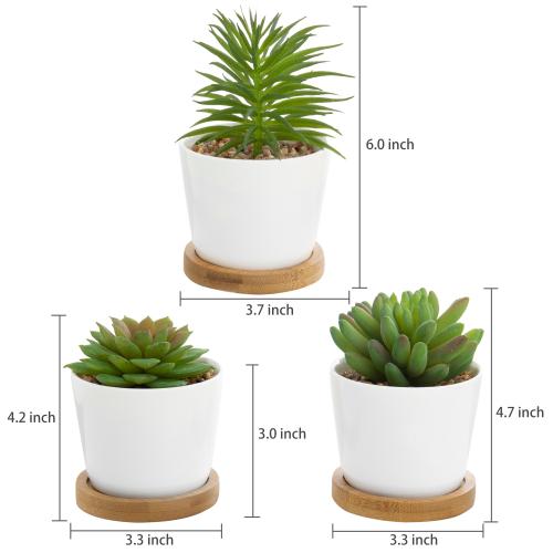 Mini Artificial Succulents in White Ceramic Pots w/ Bamboo Saucers, Set of 3