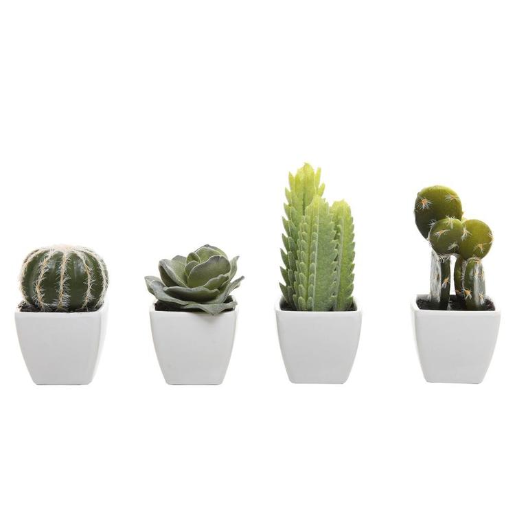 Artificial Mini Succulent & Cactus Plants, Set of 4