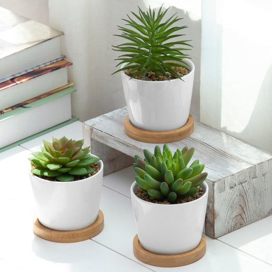 Mini Artificial Succulents in White Ceramic Pots w/ Bamboo Saucers, Set of 3