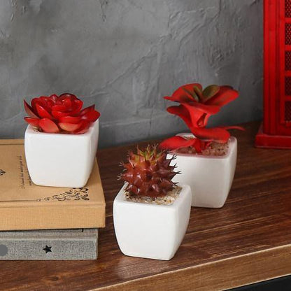 Miniature Red Artificial Succulent in Ceramic Pots, Set of 3