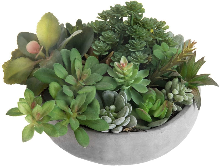 Artificial Assorted Succulent Plants in Round Gray Cement Plant Pot