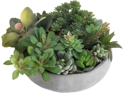 Artificial Assorted Succulent Plants in Round Gray Cement Plant Pot