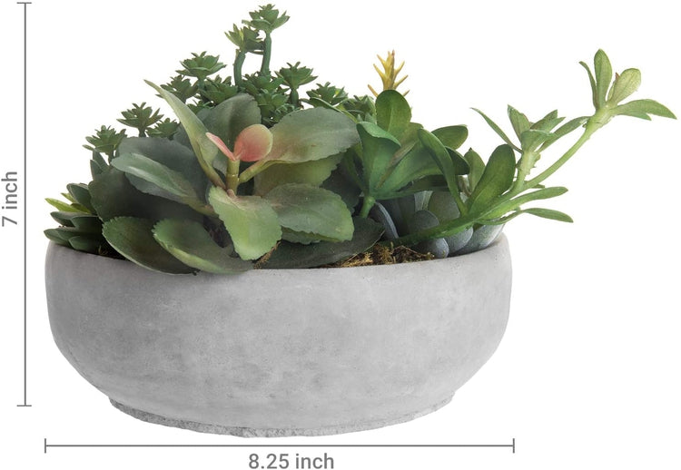 Artificial Assorted Succulent Plants in Round Gray Cement Plant Pot
