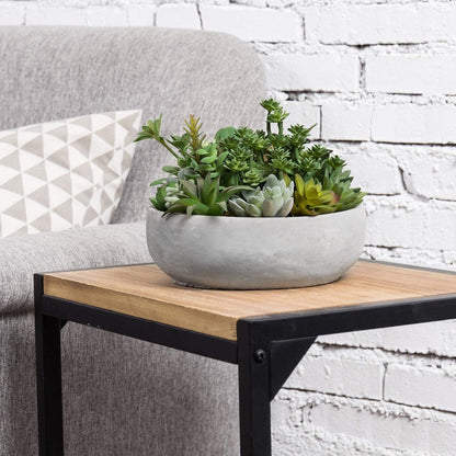 Artificial Assorted Succulent Plants in Round Gray Cement Plant Pot