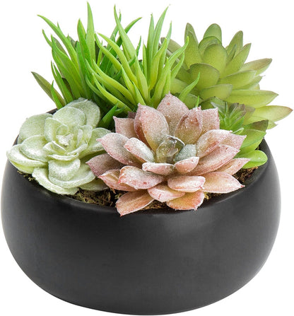 Mini Artificial Succulent Arrangement in Black Ceramic Round Plant Bowl