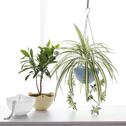 Multi Colored Self-Watering Flower Pot (Blue, Yellow, White), Set of 3