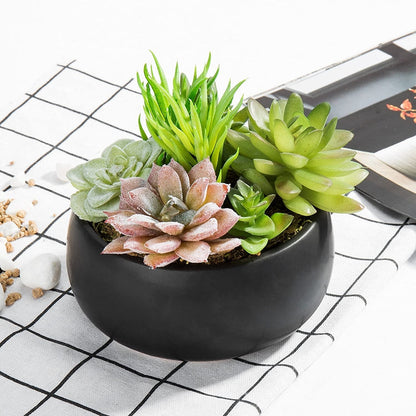 Mini Artificial Succulent Arrangement in Black Ceramic Round Plant Bowl