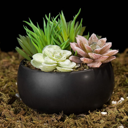 Mini Artificial Succulent Arrangement in Black Ceramic Round Plant Bowl
