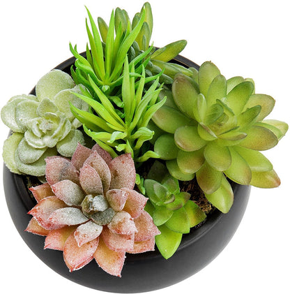 Mini Artificial Succulent Arrangement in Black Ceramic Round Plant Bowl