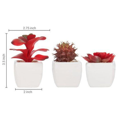 Miniature Red Artificial Succulent in Ceramic Pots, Set of 3