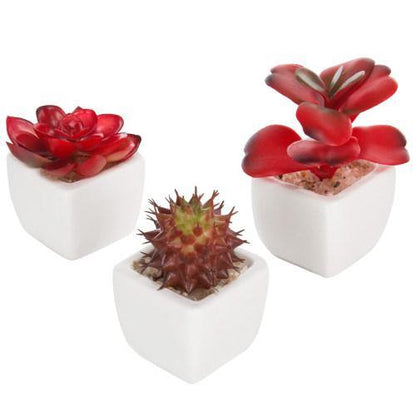 Miniature Red Artificial Succulent in Ceramic Pots, Set of 3