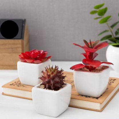 Miniature Red Artificial Succulent in Ceramic Pots, Set of 3