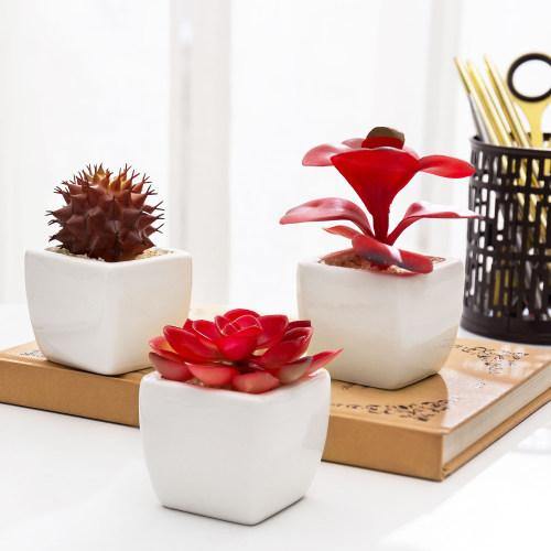 Miniature Red Artificial Succulent in Ceramic Pots, Set of 3