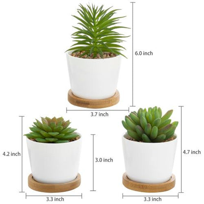 Mini Artificial Succulents in White Ceramic Pots w/ Bamboo Saucers, Set of 3