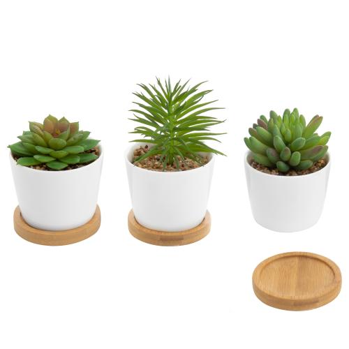 Mini Artificial Succulents in White Ceramic Pots w/ Bamboo Saucers, Set of 3