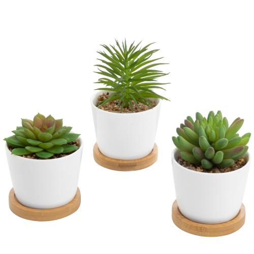 Mini Artificial Succulents in White Ceramic Pots w/ Bamboo Saucers, Set of 3