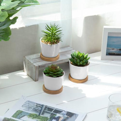 Mini Artificial Succulents in White Ceramic Pots w/ Bamboo Saucers, Set of 3