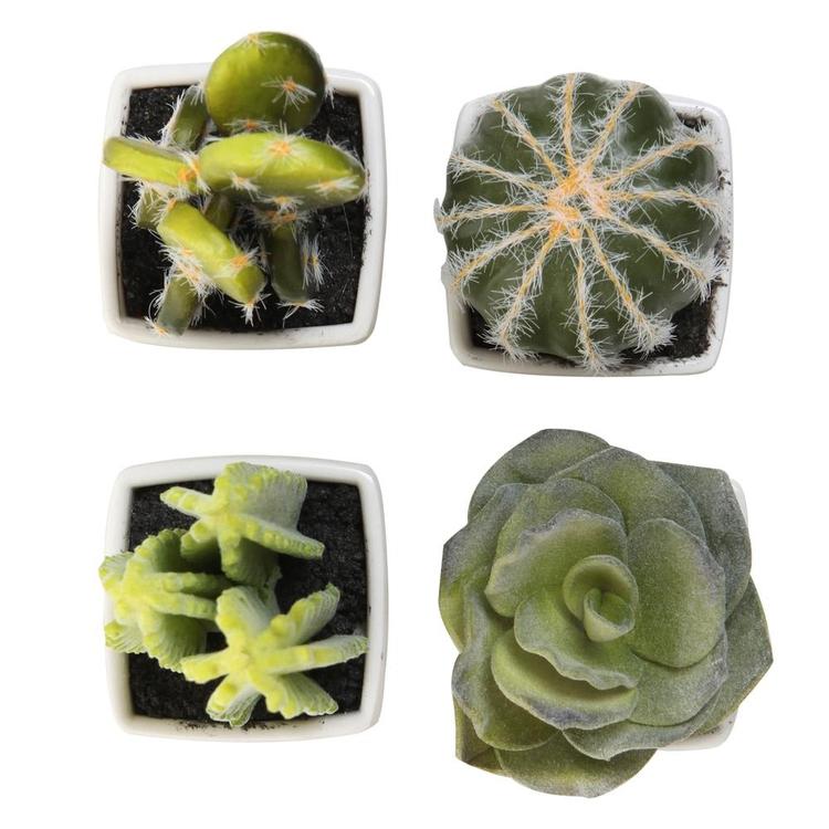Artificial Mini Succulent & Cactus Plants, Set of 4