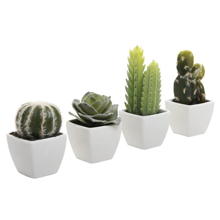 Artificial Mini Succulent & Cactus Plants, Set of 4