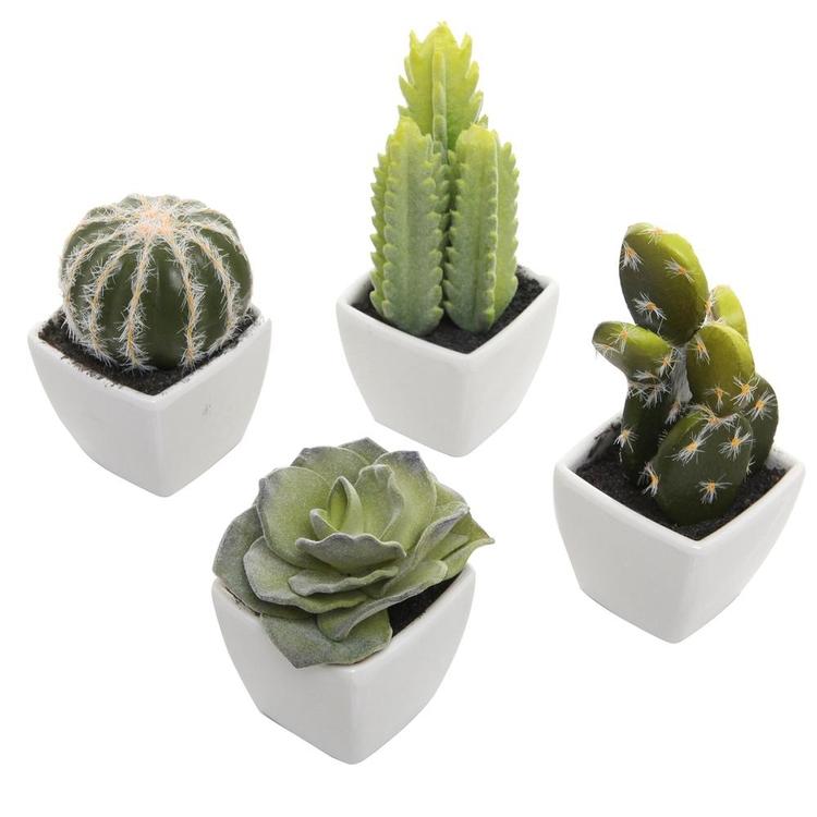 Artificial Mini Succulent & Cactus Plants, Set of 4