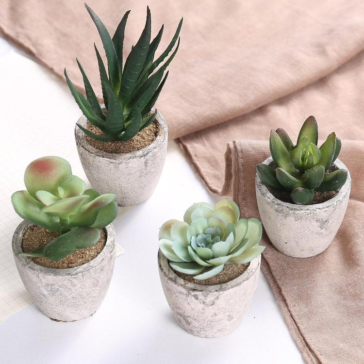 Artificial Succulent Plants with Pots, Set of 4