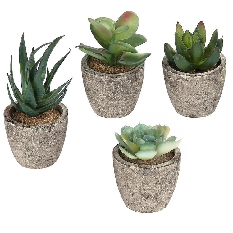 Artificial Succulent Plants with Pots, Set of 4