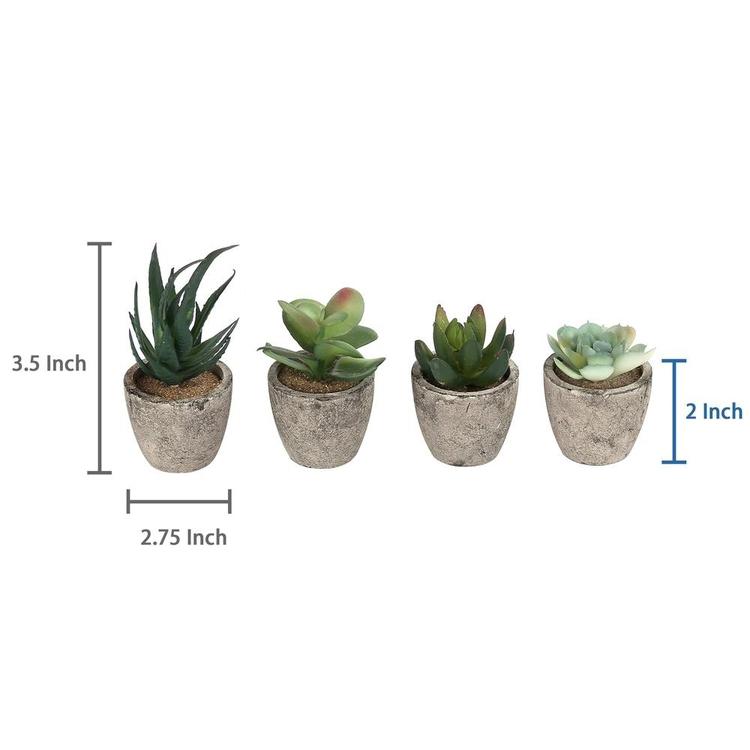 Artificial Succulent Plants with Pots, Set of 4