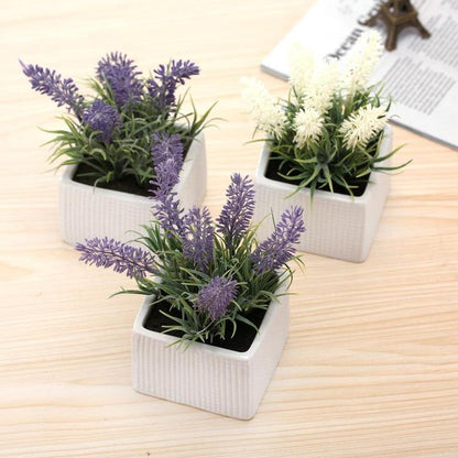 Faux Lavender Plants in White Ceramic Pots, Set of 3