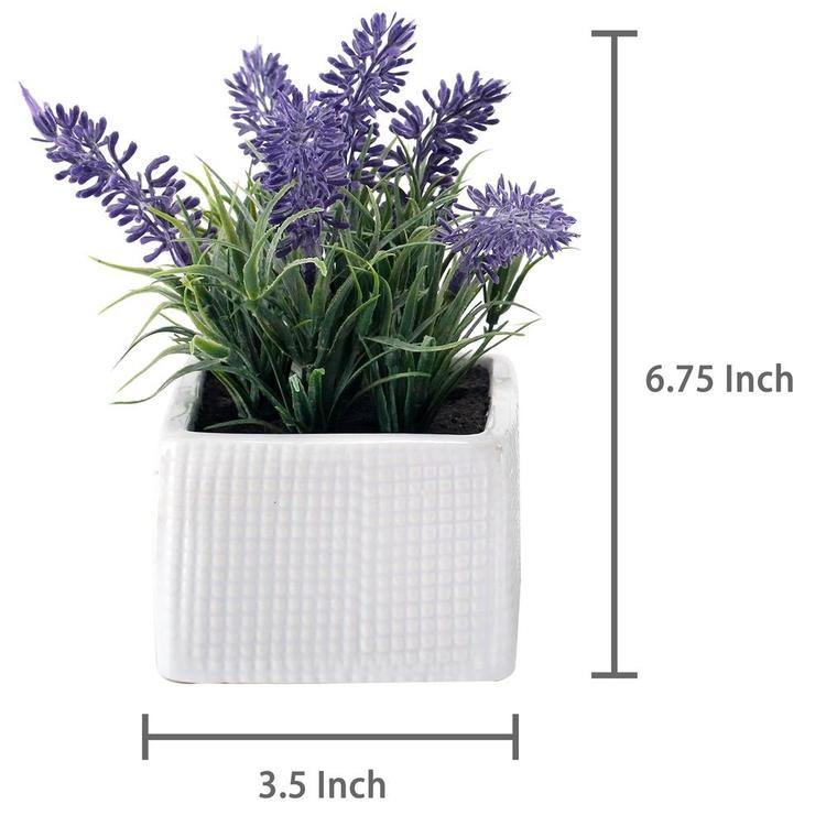 Faux Lavender Plants in White Ceramic Pots, Set of 3