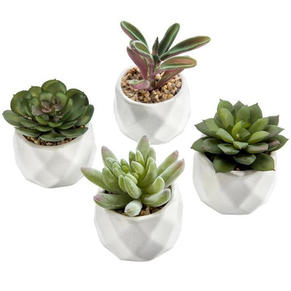 Mini Artificial Succulent Plants in Geometric Plant Pots