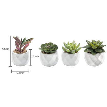 Mini Artificial Succulent Plants in Geometric Plant Pots